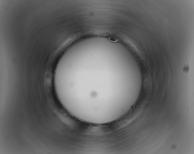 X0000101690072200807241418