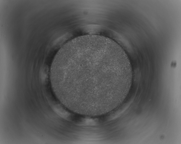 X0000101690073200807241418