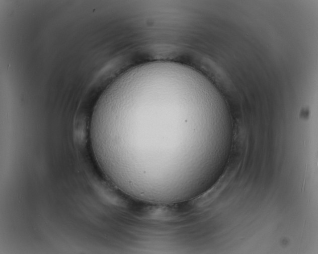 X0000101690074200807241418