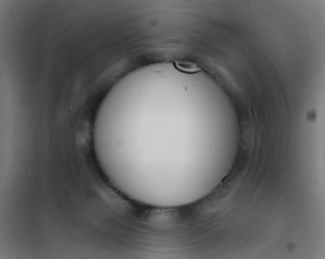 X0000101690077200807241418