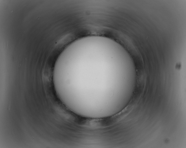 X0000101690078200807241418