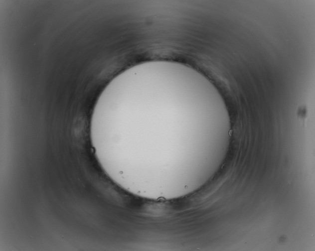 X0000101690079200807241418