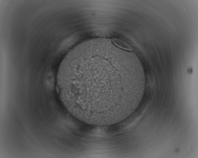 X0000101690080200807241418