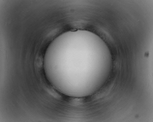 X0000101690081200807241418