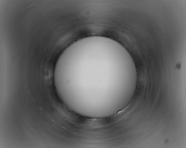 X0000101690082200807241419