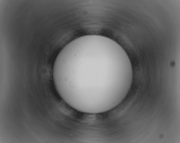 X0000101690083200807241419