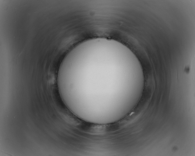 X0000101690084200807241419