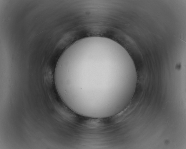 X0000101690086200807241419