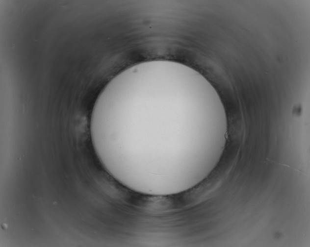 X0000101690087200807241419