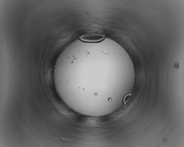 X0000101690088200807241419