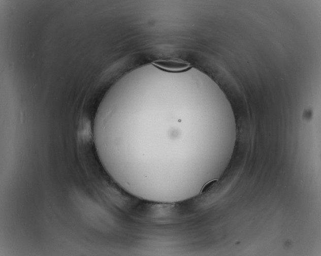 X0000101690089200807241419