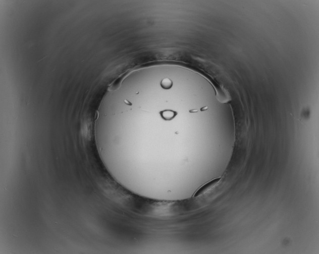 X0000101690090200807241419