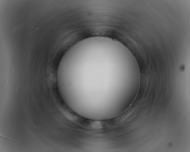 X0000101690091200807241419