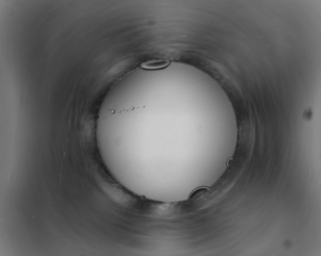 X0000101690092200807241419