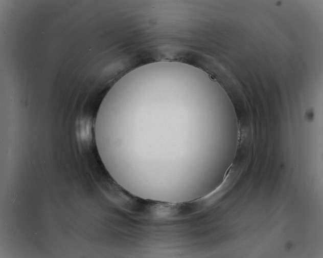 X0000101690094200807241419