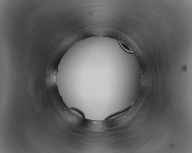 X0000101690095200807241419