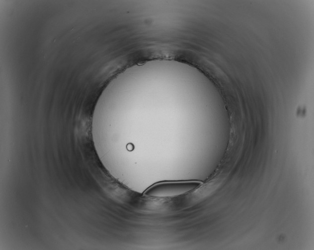 X0000101690096200807241419