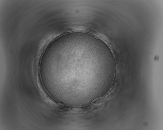 X0000101690097200807241418