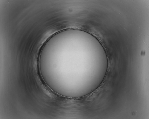 X0000101690098200807241418