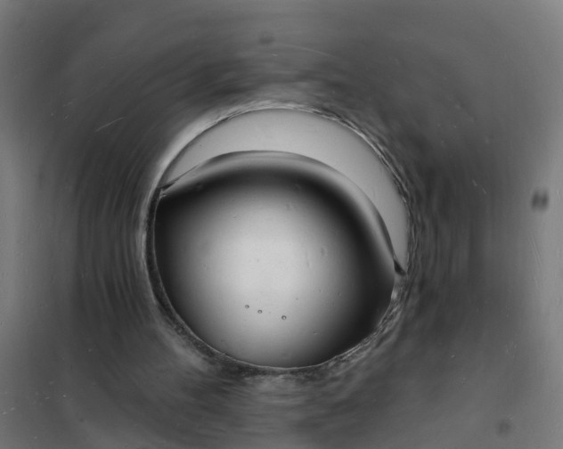 X0000101690100200807241418