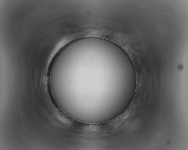 X0000101690102200807241418