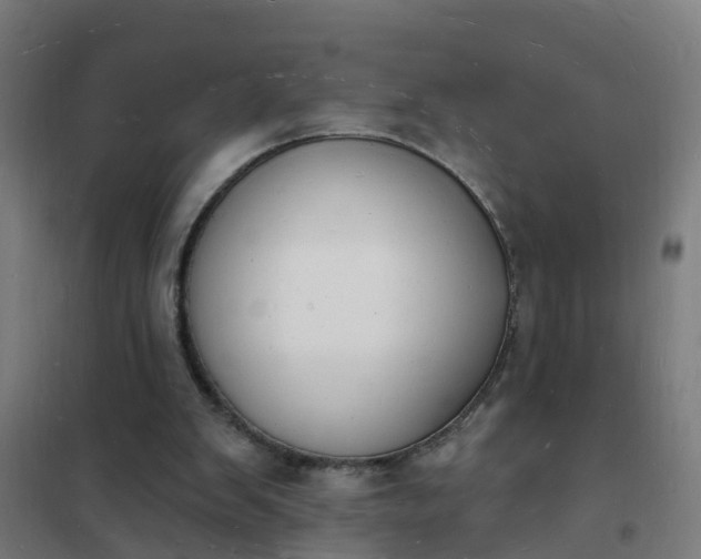 X0000101690103200807241418