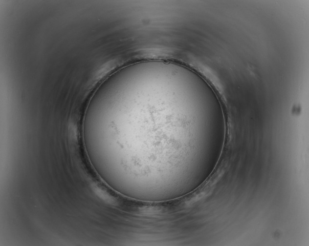 X0000101690105200807241418