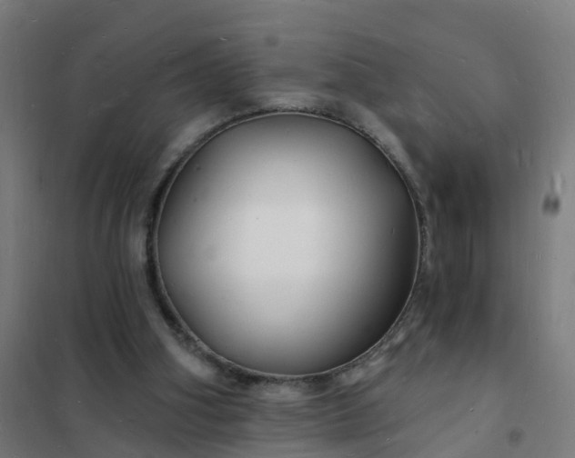 X0000101690106200807241418