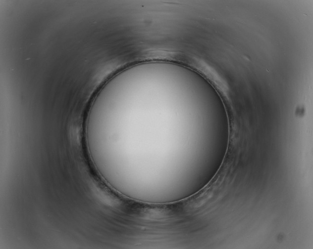 X0000101690107200807241418