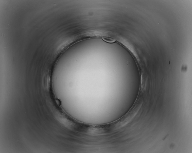 X0000101690109200807241418