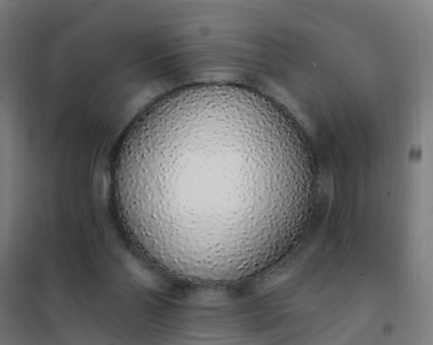 X0000101690110200807241418