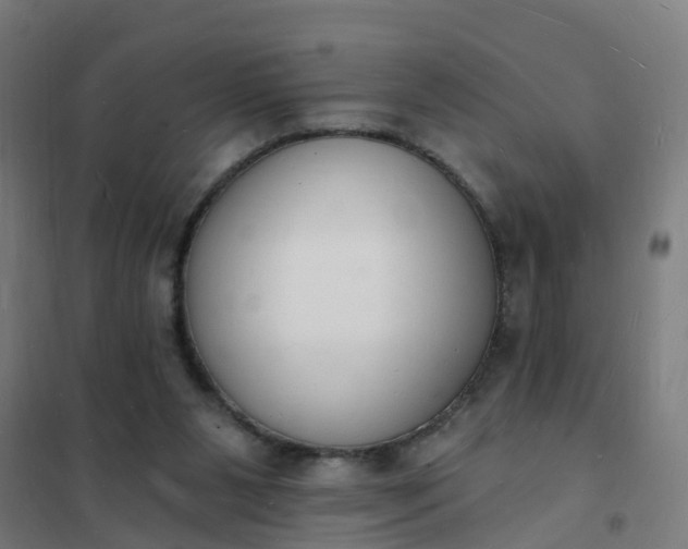 X0000101690111200807241418