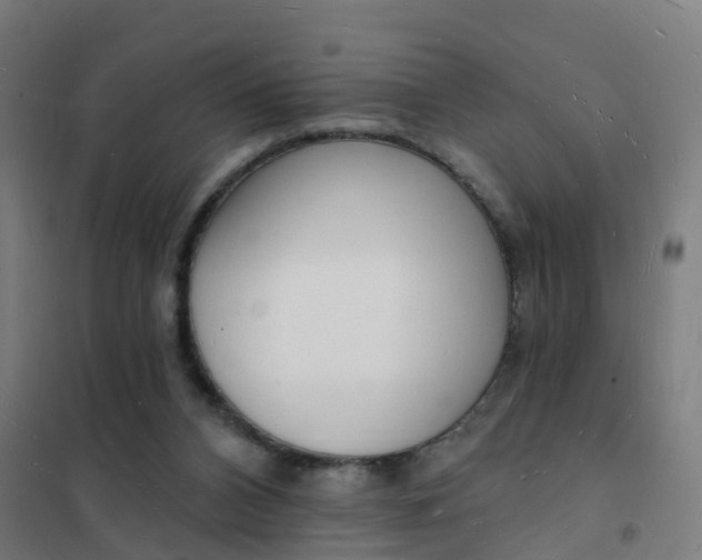 X0000101690112200807241418