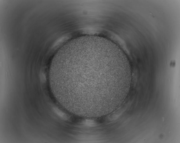 X0000101690114200807241418