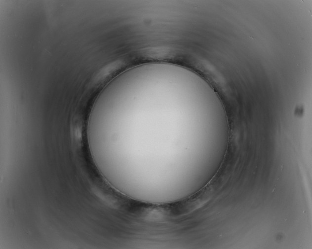 X0000101690115200807241418