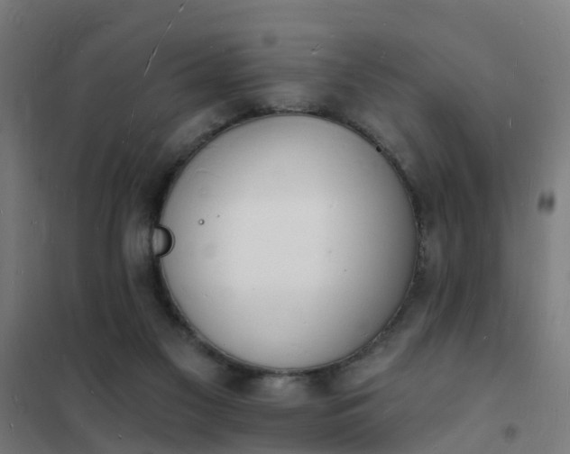 X0000101690117200807241418