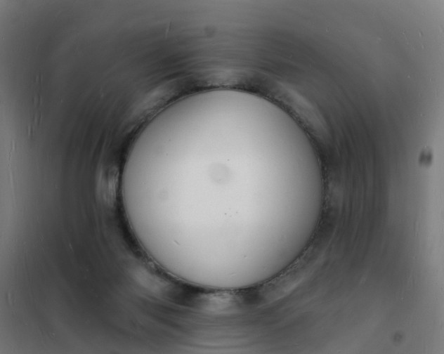 X0000101690118200807241418