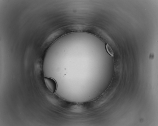 X0000101690119200807241418