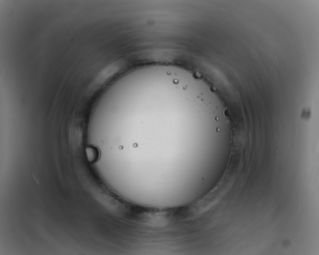 X0000101690120200807241418