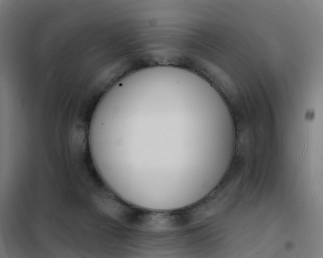 X0000101690121200807241418