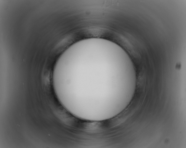 X0000101690122200807241418