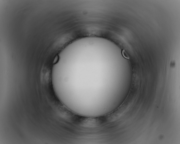 X0000101690123200807241418