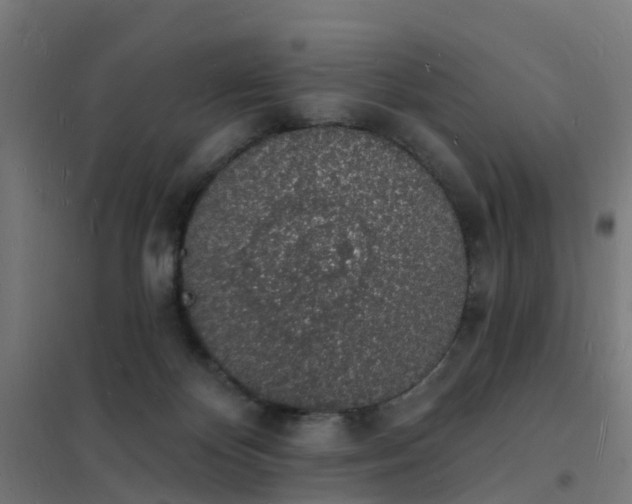 X0000101690124200807241417