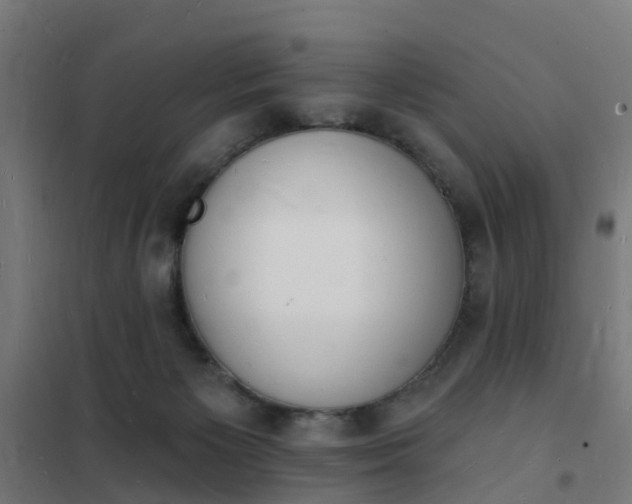 X0000101690125200807241417