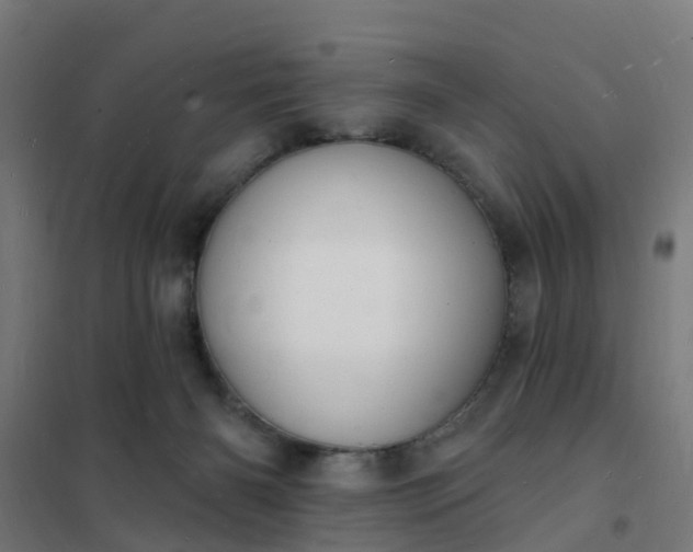 X0000101690126200807241417