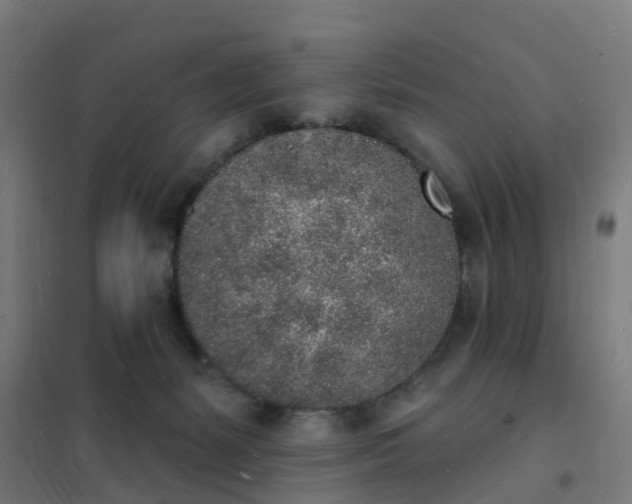 X0000101690127200807241417