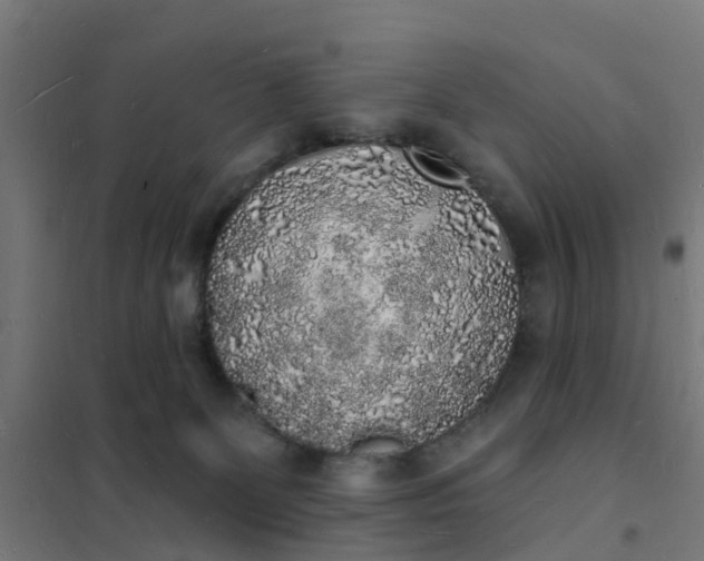 X0000101690131200807241417