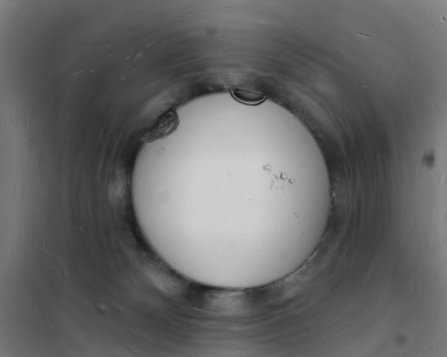 X0000101690132200807241417