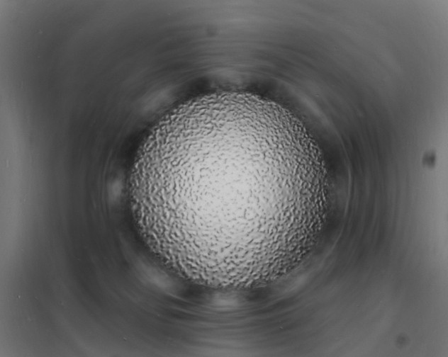 X0000101690134200807241417