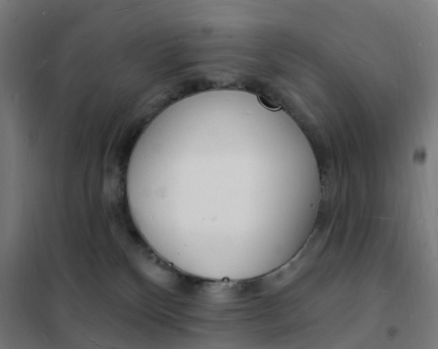 X0000101690136200807241417